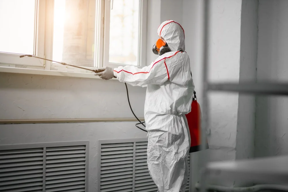 Professional mold remediation services in Portsmouth, NH